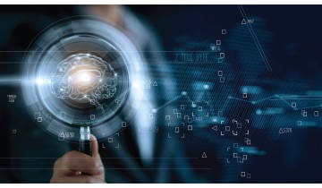 Role of Folate in Healthy Human Brain Function